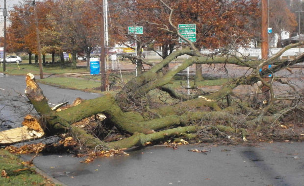 Normal storm damage